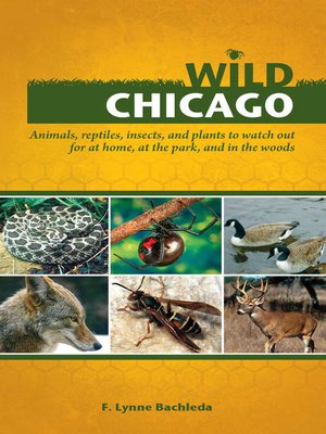 cover image of Wild Chicago